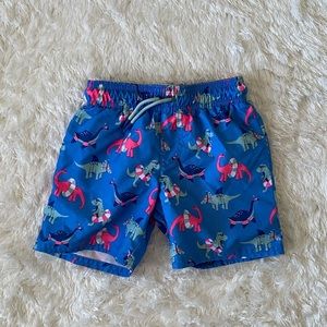 5/$15 Boys 4T Swim Shorts
